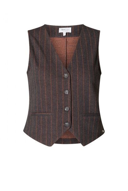 Ivy Beau Gilet Roemi 4200642