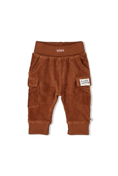 Feetje Broekje velours rib - Wild World 52202424