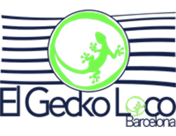 El Gecko Loco