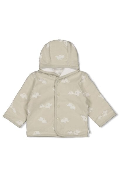 Feetje Omkeerbaar jasje met capuchon AO - Elephant 51800361
