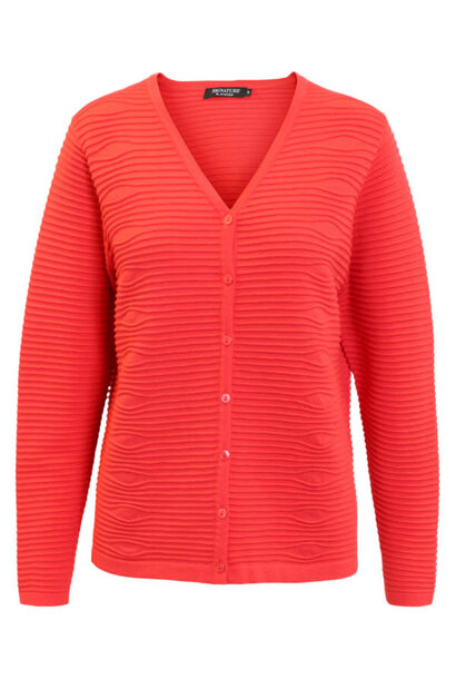 Signature Vest 220149 18354