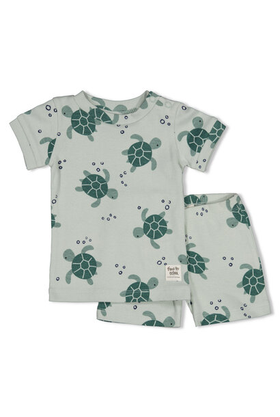 Feetje Shortama Timmy Turtle 50500091