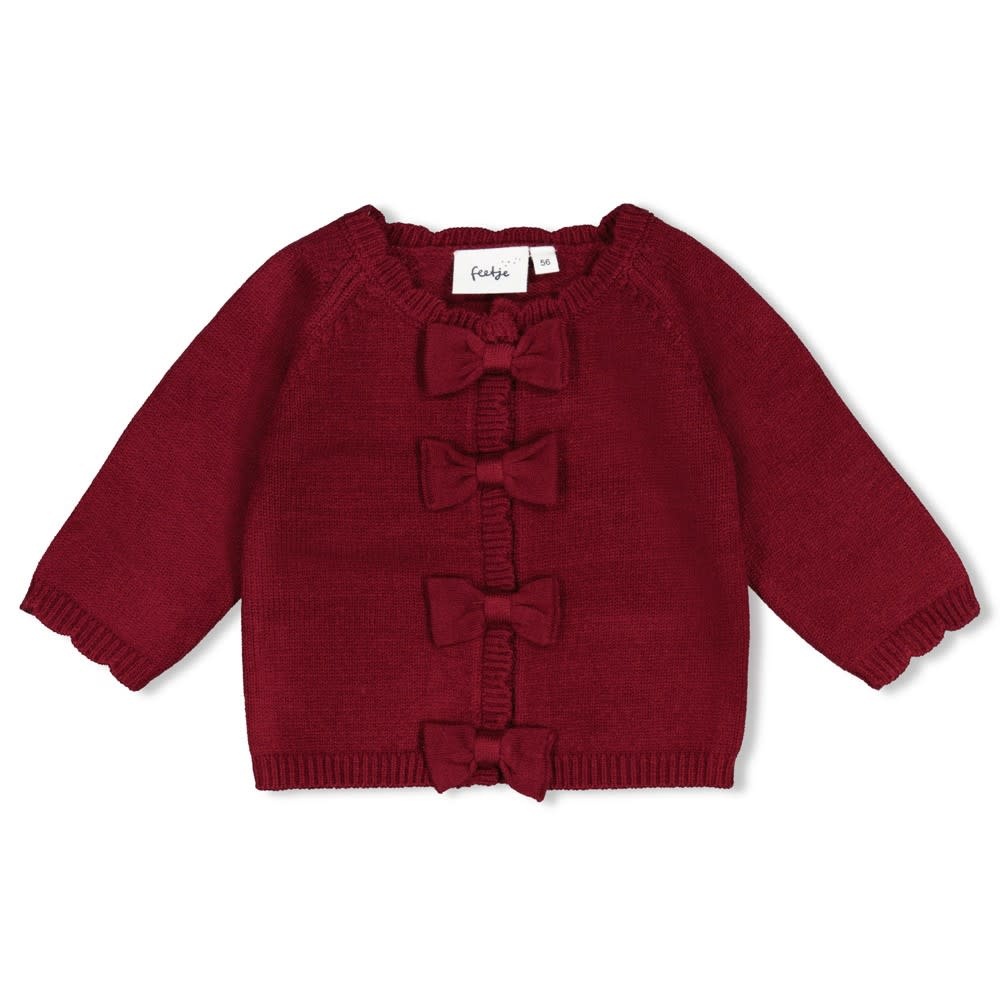 Feetje Vestje gebreid - My Little Love 51300571-1