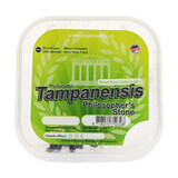 McSmart Tampanensis - 15 gram McSmart Tampanensis - 15 gram
