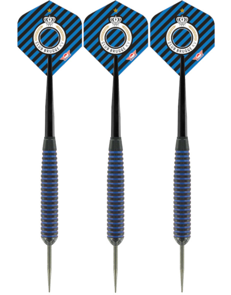 Bulls Dartspijlen set