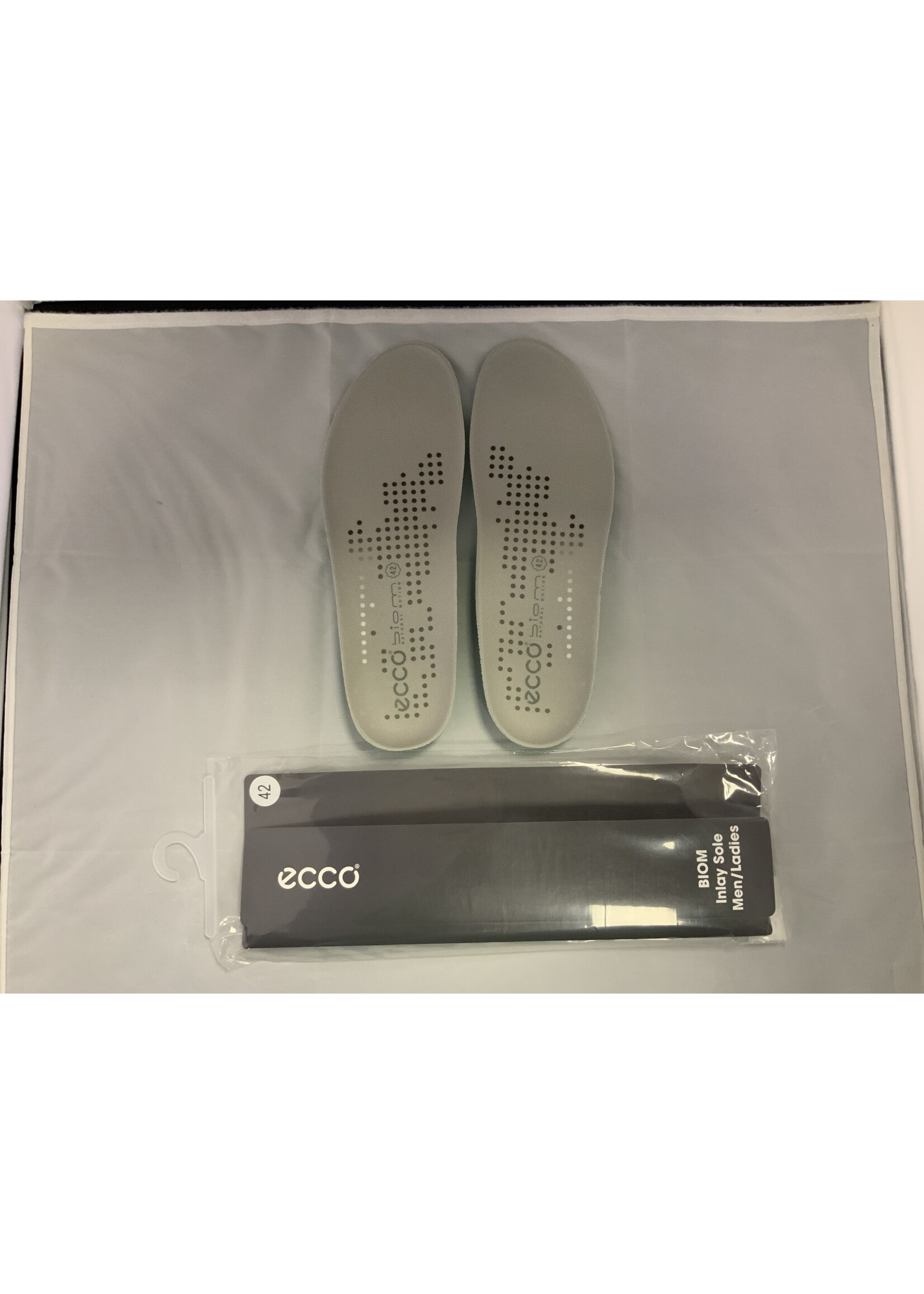 Ecco Ecco Biom inlegzool