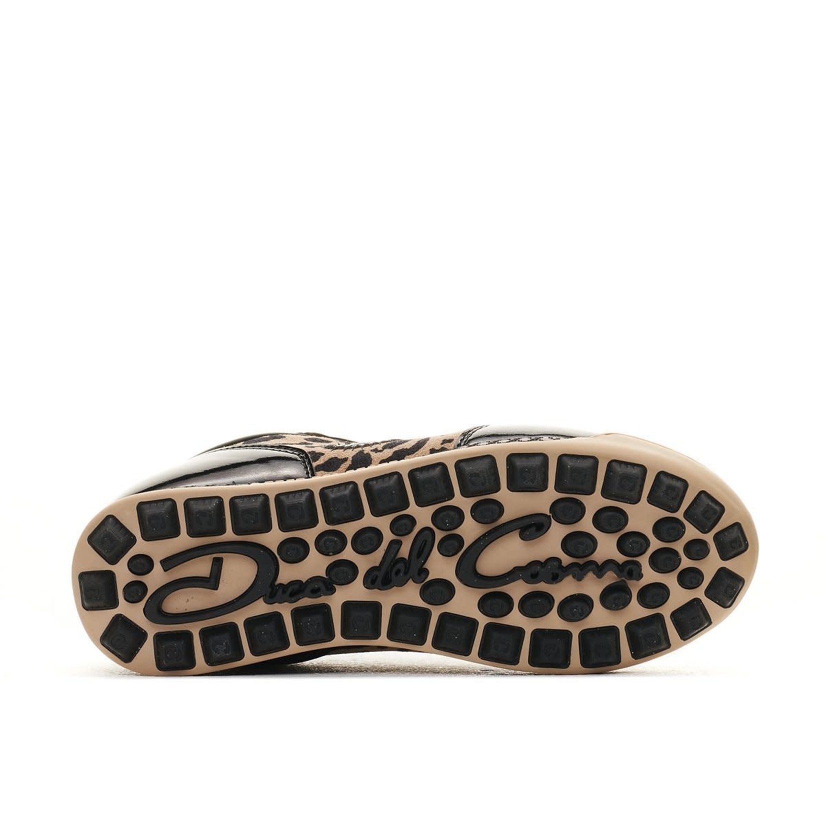 Duca del Cosma Duca del Cosma Marquessa - King Cheetah