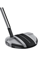 Taylor Made Spider GT Rollback Silver/Black 35" Short Slant