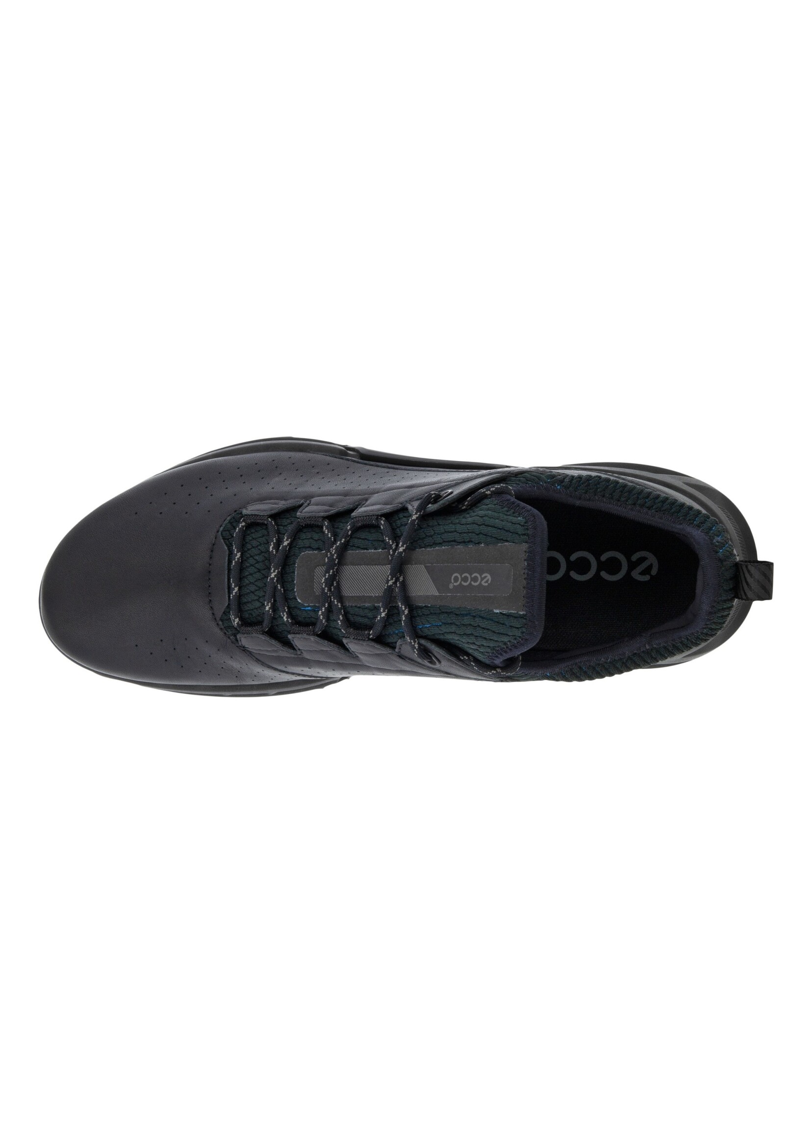 Ecco Ecco M Golf C4 Black Dritton