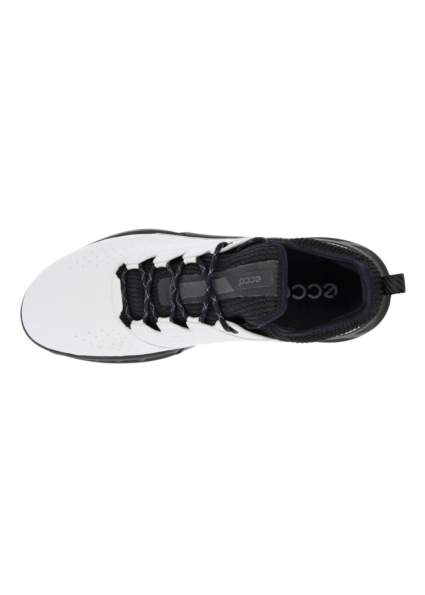 Ecco Ecco M Golf C4 Black Dritton