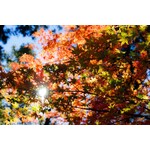 Herfst & Winter 2025/2026
