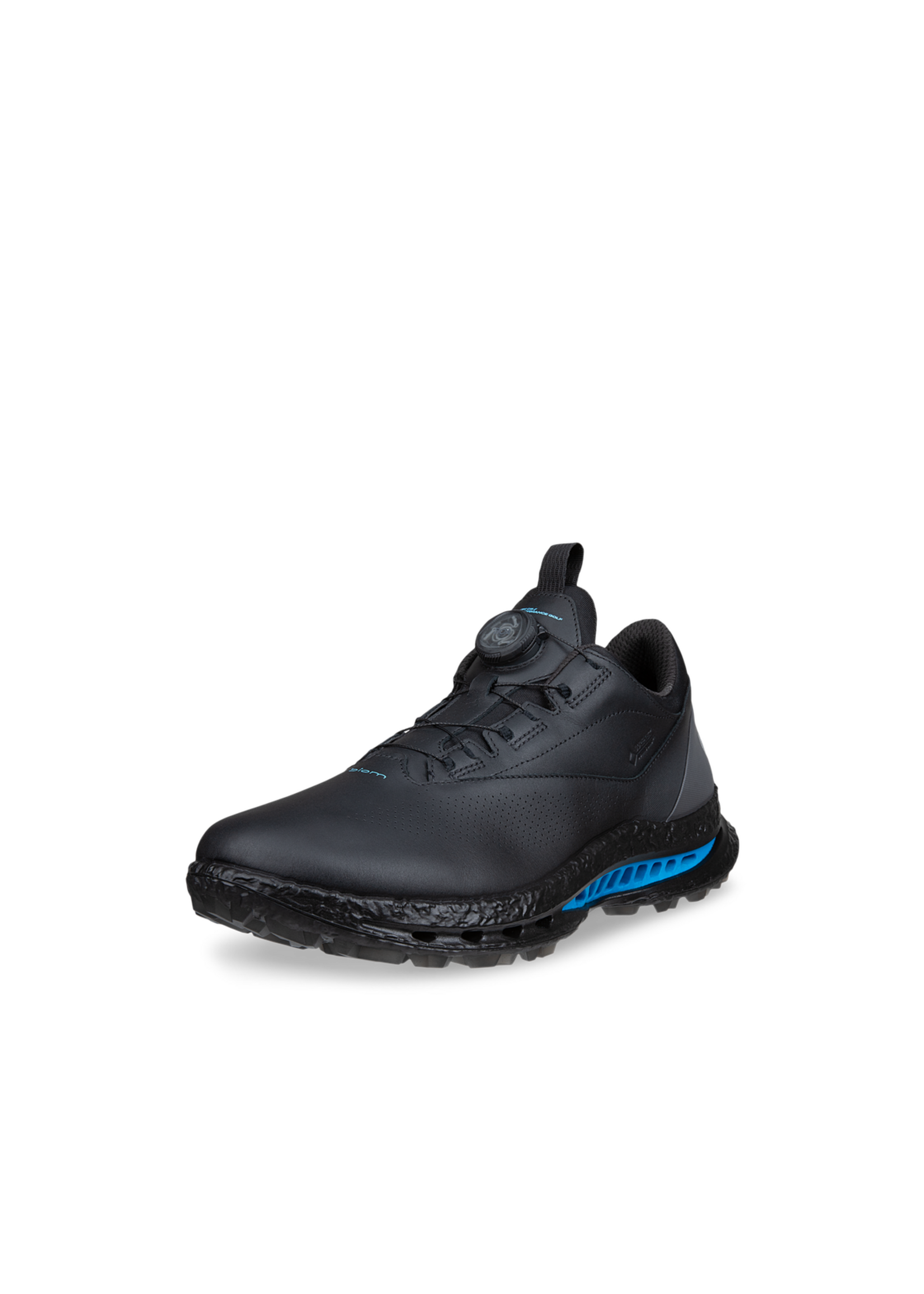 Ecco Ecco M Golf Biom C5 GTX - Black/Magnet BOA