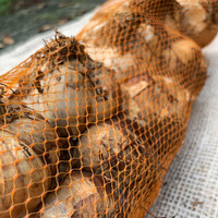 thumb-Gerookte knoflook streng (Koud gerookt)-1