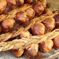 thumb-Gerookte knoflook streng (Koud gerookt)-2