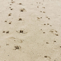 thumb-28 mei Beleef & Proef de Veluwe 2022-10
