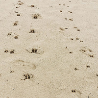 thumb-17 december Beleef & Proef de Veluwe 2022-10