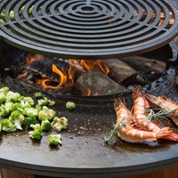 thumb-Grill 100 rond-5