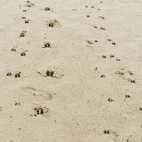 thumb-7 oktober Beleef & Proef de Veluwe 2023-9