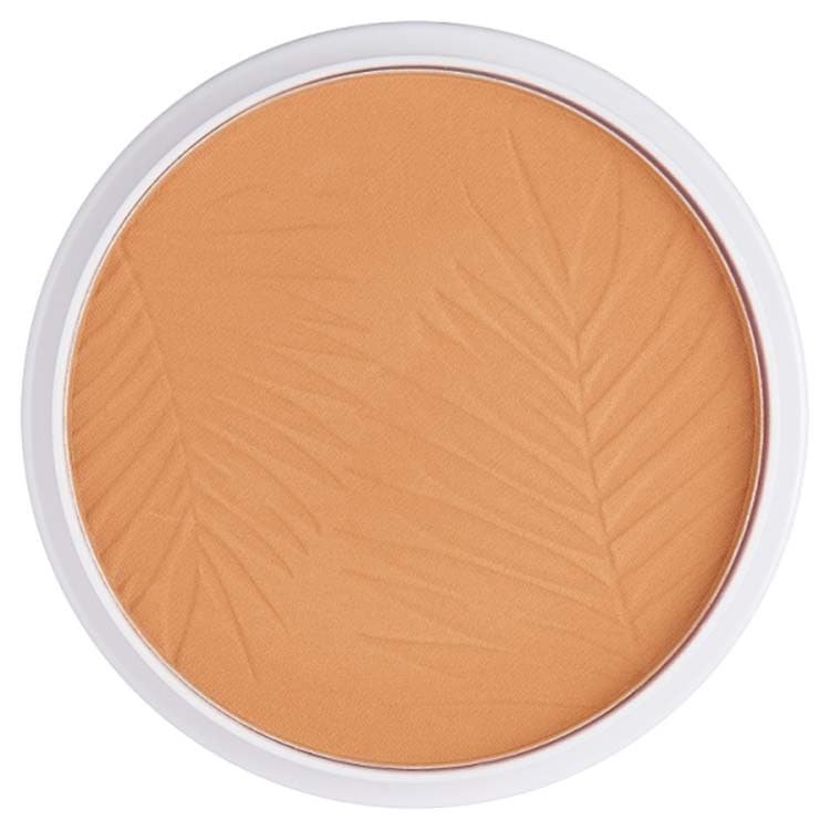 Collection Bronze Glow Matte Powder - Light Terracotta