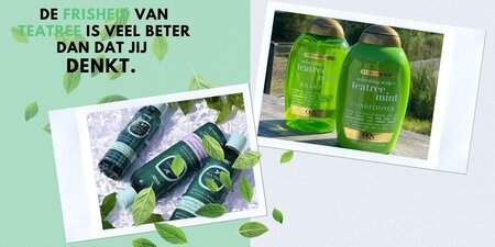 De waarheid over tea tree