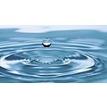 Glycol.eu  Wasser | Multifunktional | 1000L