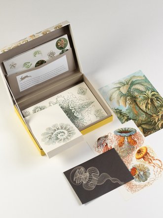 Letter Writing Gift Box Sets, Premium Stationery