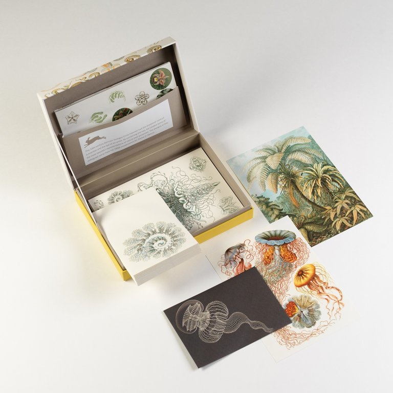 The Pepin Press Briefpapier set - Art forms in nature