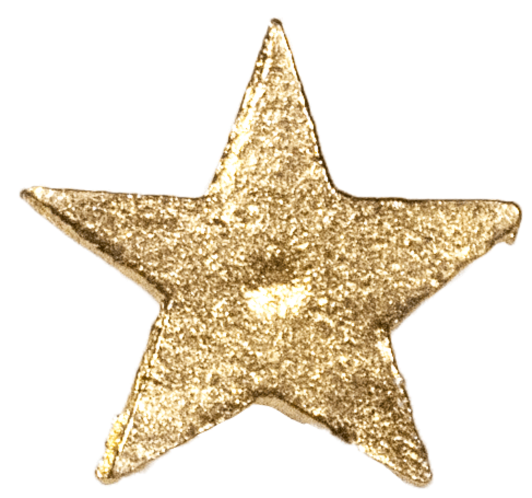 Boncoeurs Wall decorating nail - small star