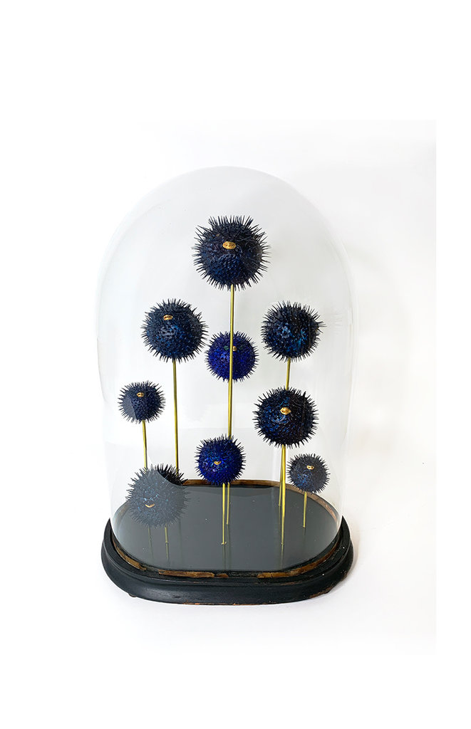 Marieke Ariëns Interior Objects School van pufferfish