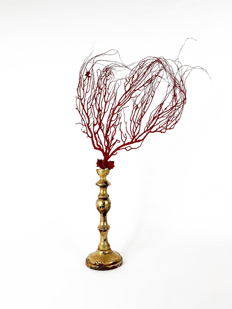 Marieke Ariëns Interior Objects Red sea fan on gilded wooden pedestal