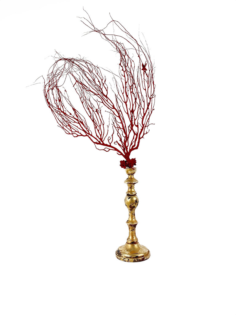 Marieke Ariëns Interior Objects Red sea fan on gilded wooden pedestal