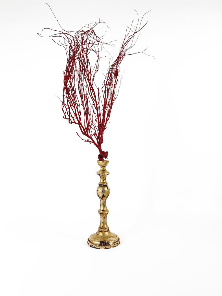 Marieke Ariëns Interior Objects Red sea fan on gilded wooden pedestal