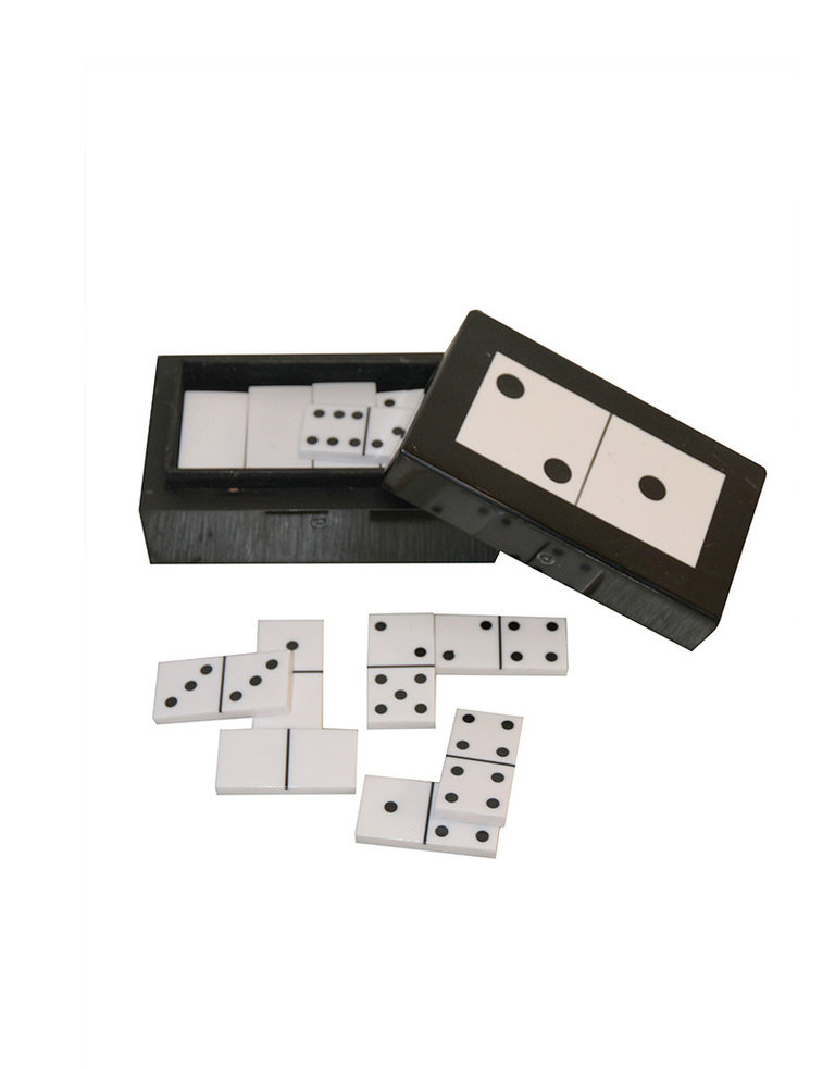 Game box holding a set of dominoes