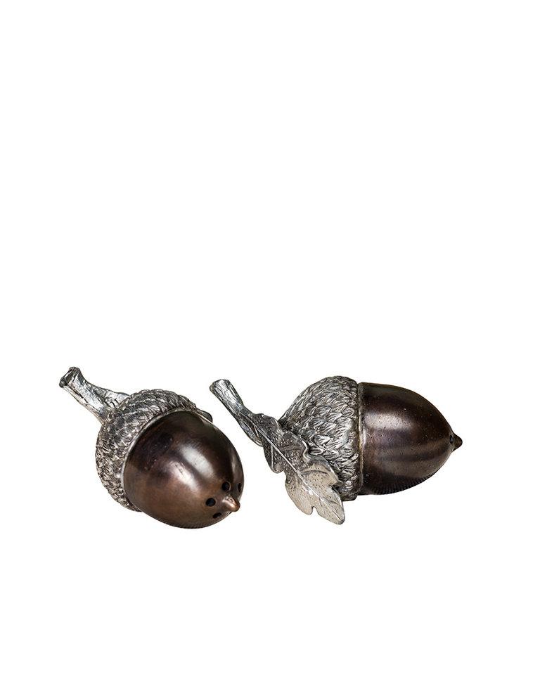 Acorn salt and pepper shaker set