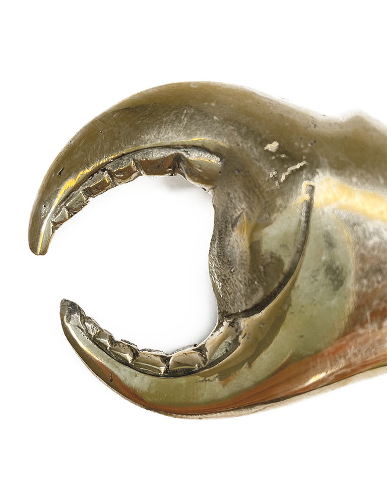 Crab bottle opener