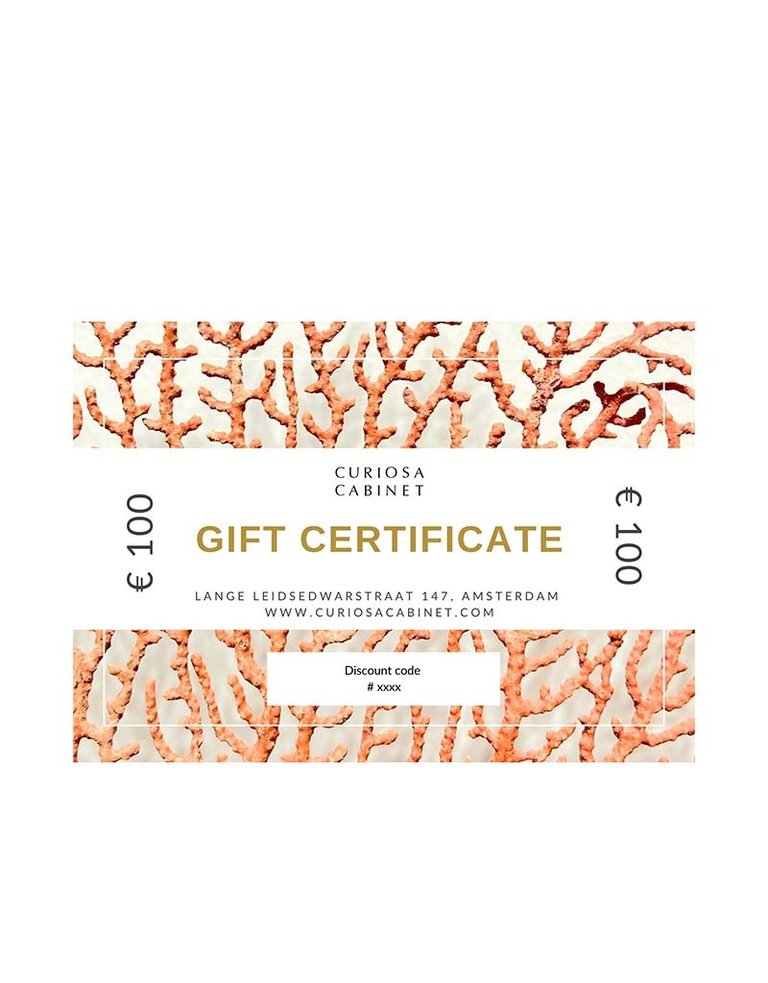 Gift certificate 100 Euros