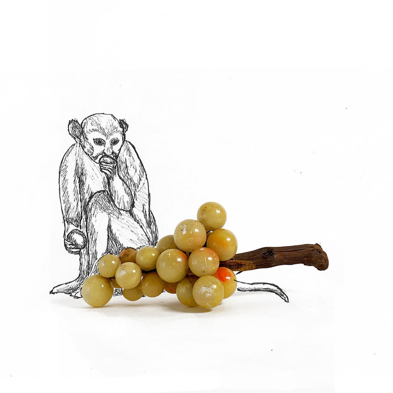 Vintage Albasten druiven