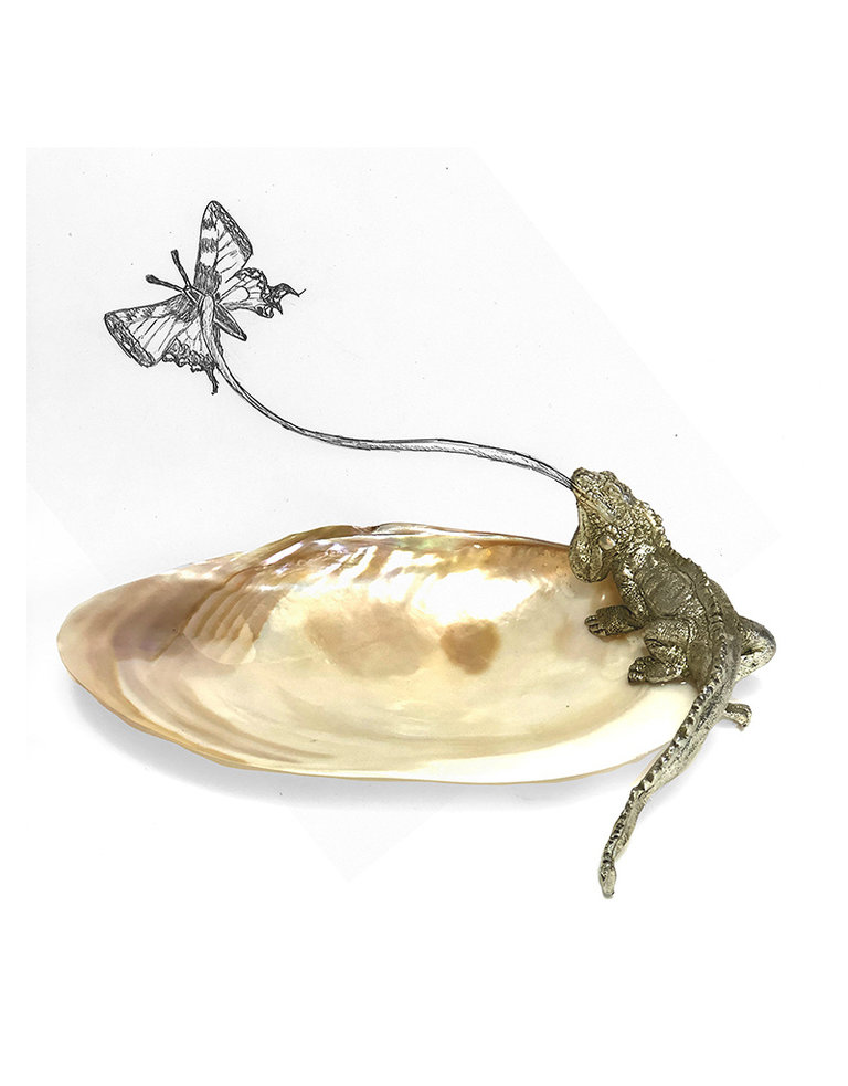 Bowl of shell with metal iguana