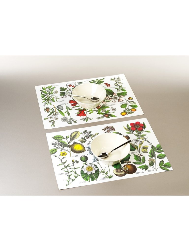 The Pepin Press Botanical placemats pad, 48 placemats