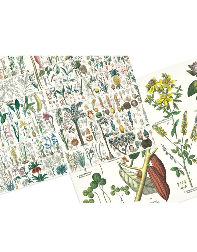 The Pepin Press Papieren placemats - Botanisch - 48 placemats