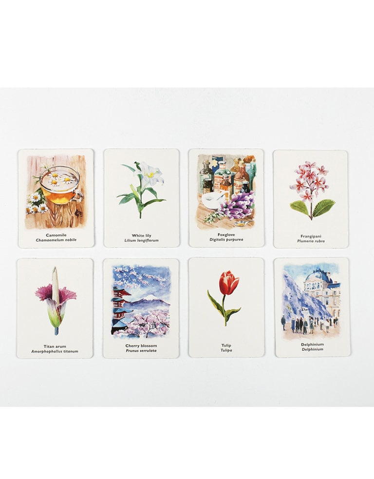 Pick a flower - A memory game