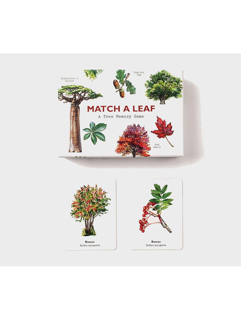 Match a Leaf - A memory game