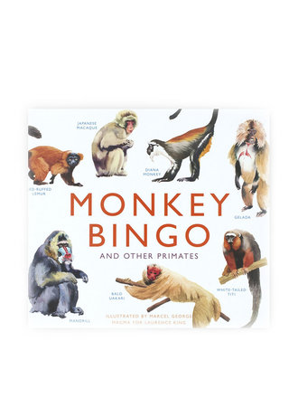 Monkey Bingo Monkey Bingo