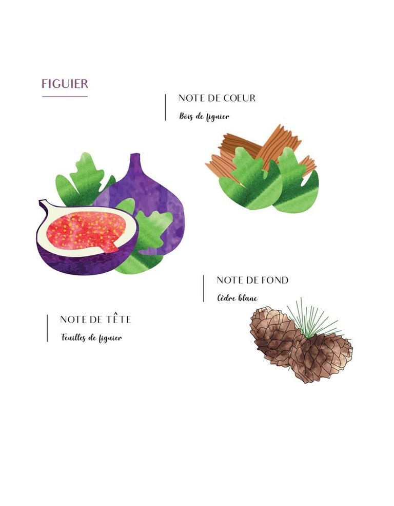 Côté Bougie Roomspray - Vijgenboom & roos - Figuier & rose - 100 ml