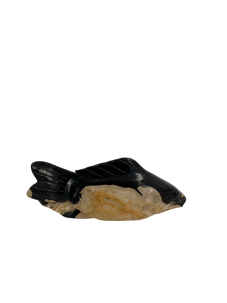 Grote vis van versteend hout Grote vis van versteend hout