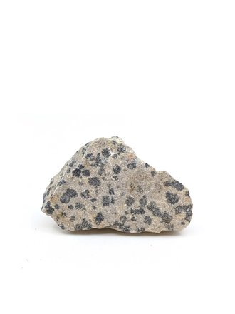 Spotted jasper (Dalmatian)