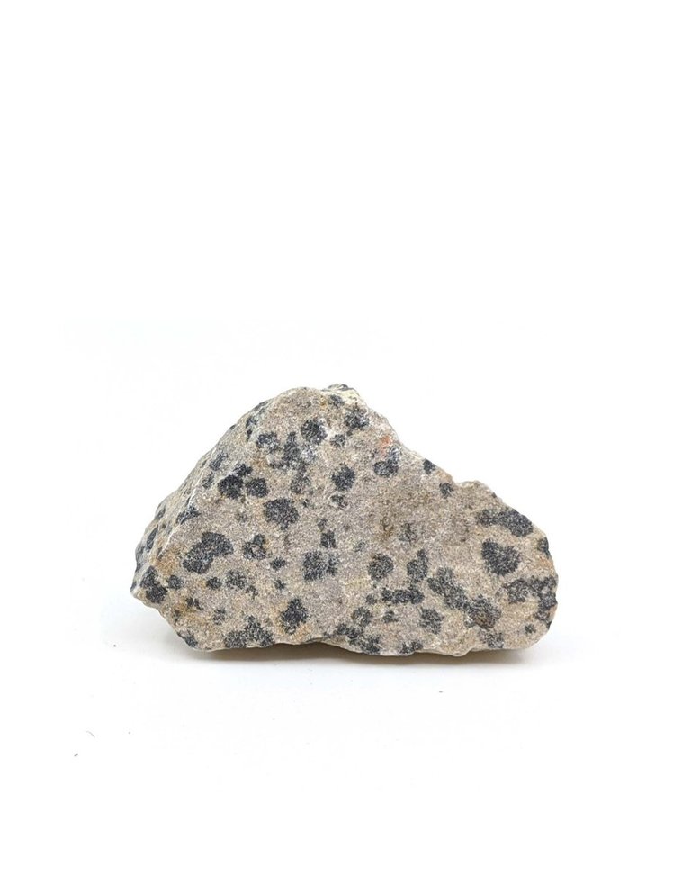 Piece of rough spotted Jasper