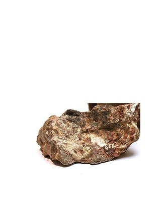 Stukje versteend hout Stukje versteend hout