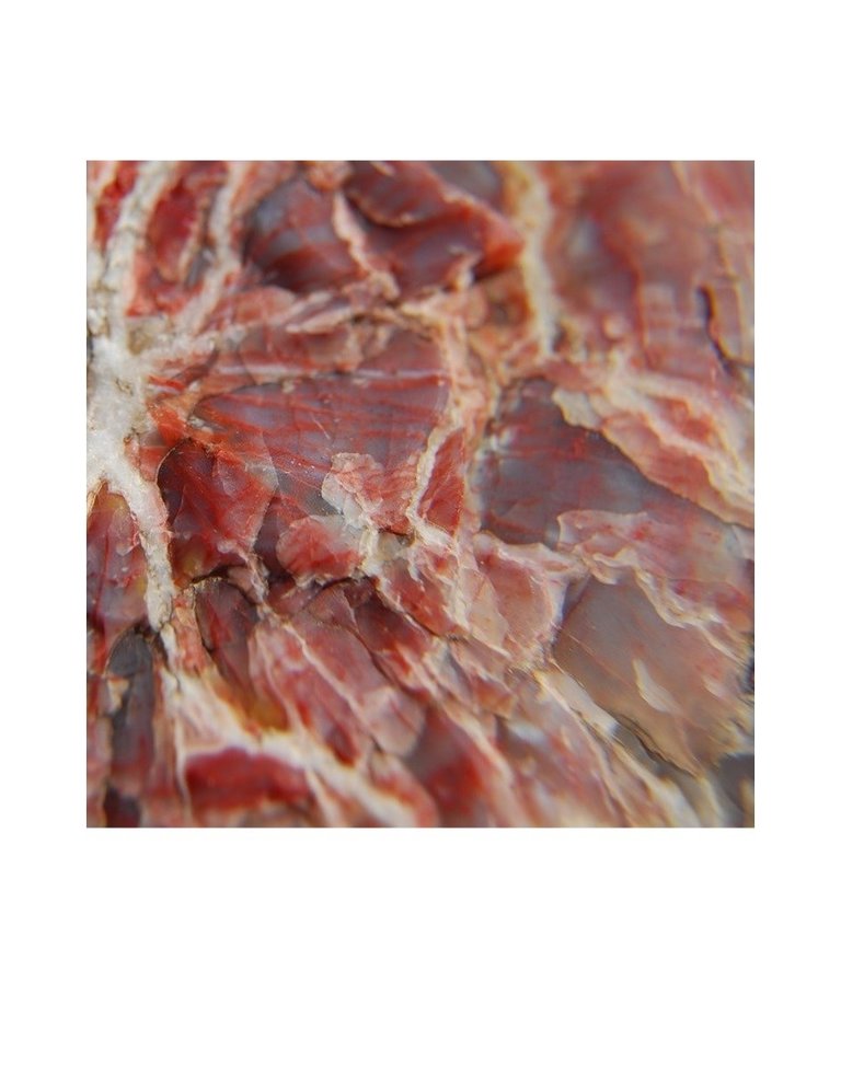 Stukje versteend hout