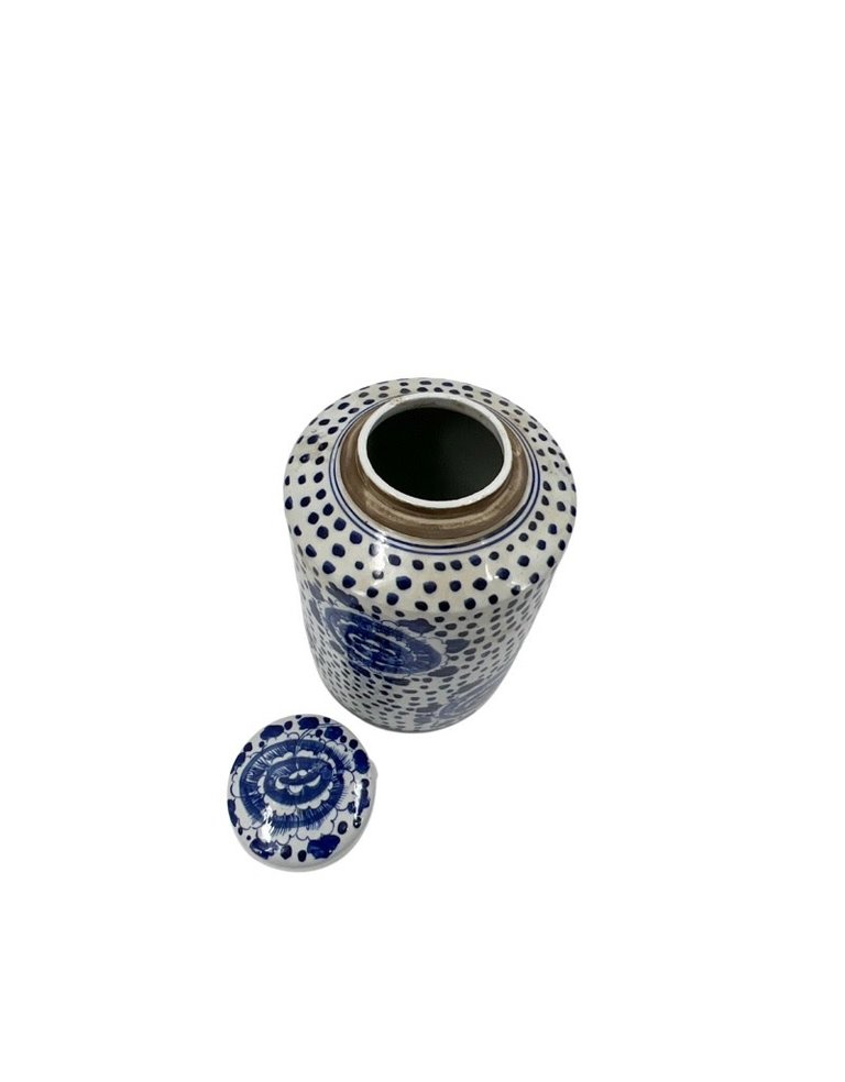 Witte pot met blauwe stippen